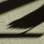 SpachtelSchatten-Banner