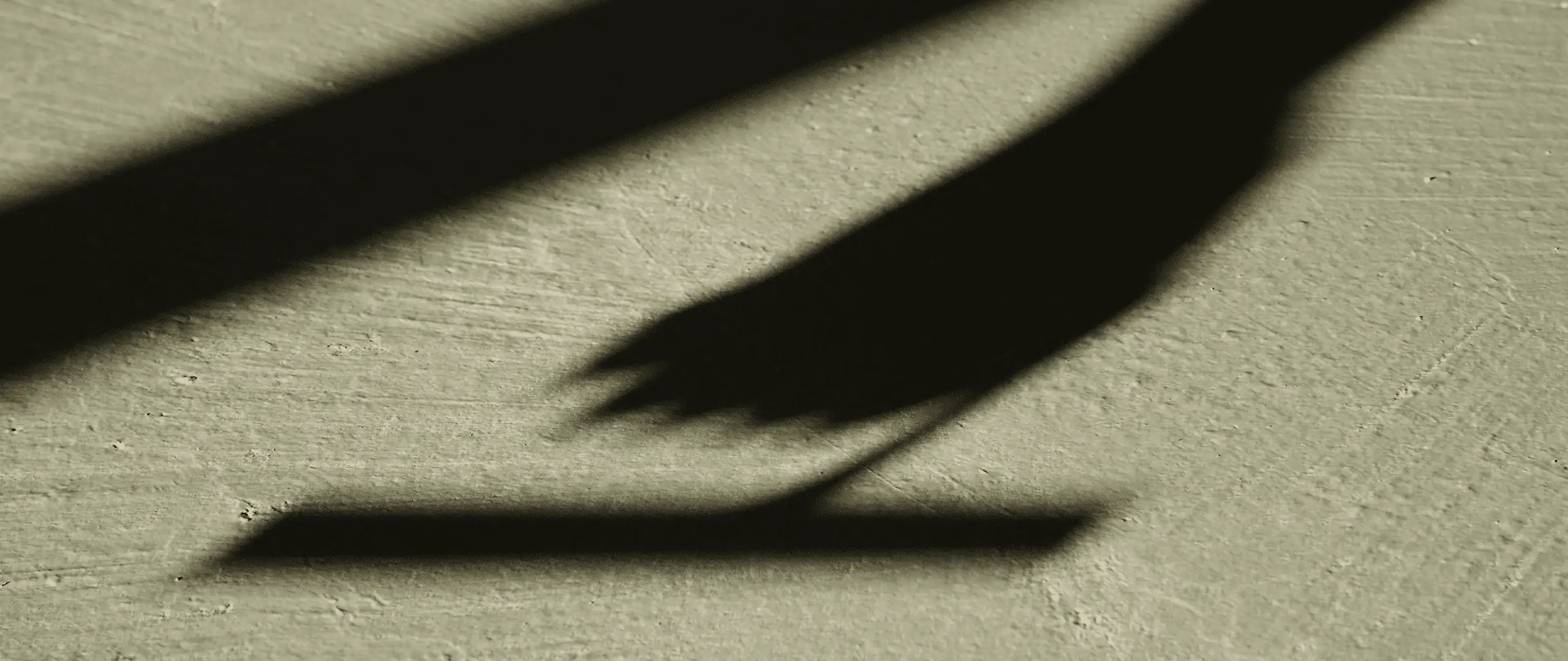 SpachtelSchatten-Banner